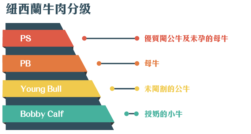 紐西蘭牛肉分級圖