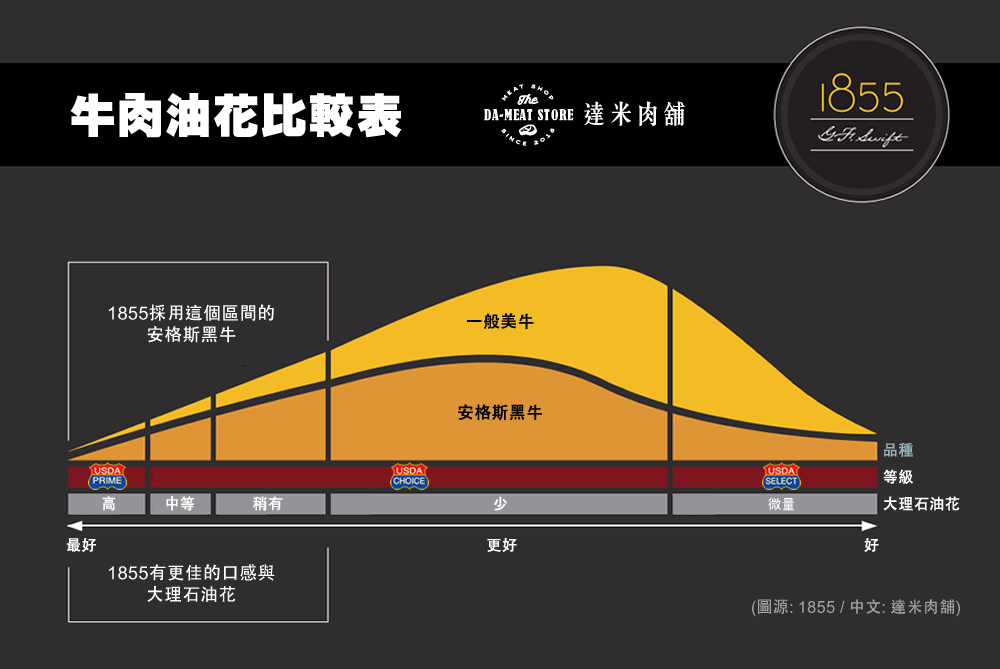 1855介紹圖