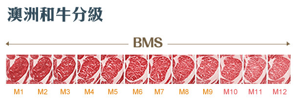 澳洲和牛分級圖