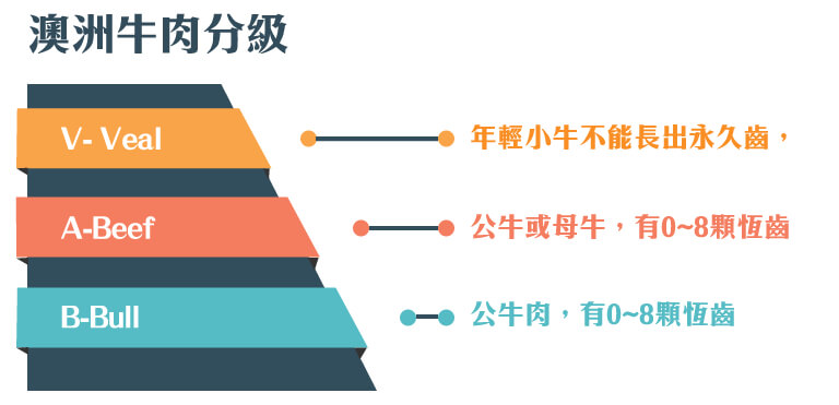 澳洲牛肉分級圖