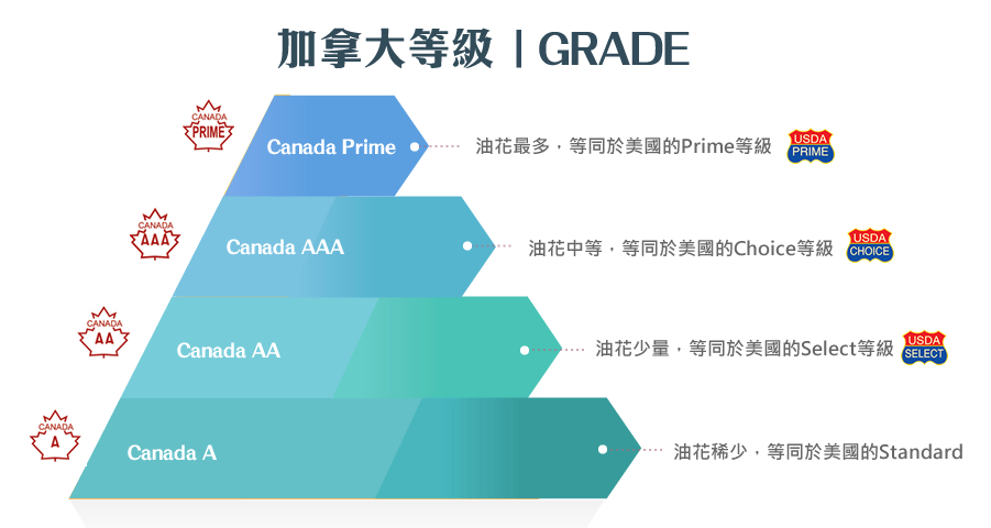 加拿大牛肉分級圖