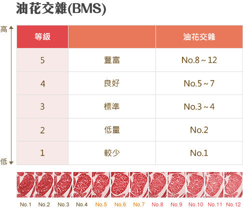 和牛等級表_BMS