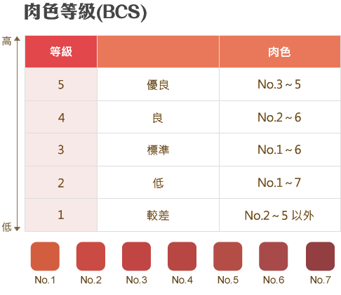 和牛等級表_BCS