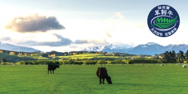 紐西蘭牛肉優質的原因？