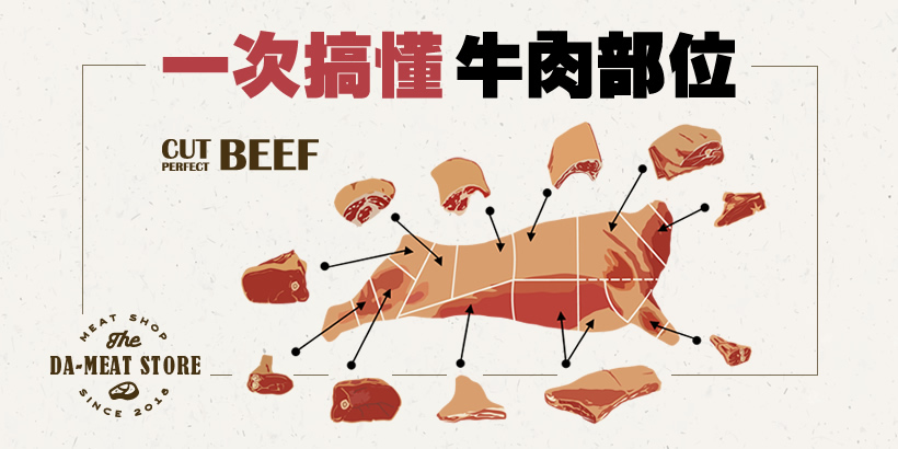 一次搞懂牛肉部位 達米肉舖